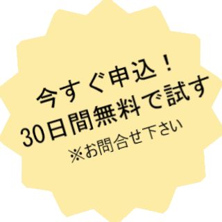 つながるワークス BIツール